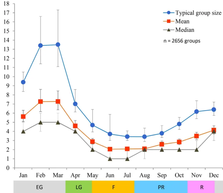 Fig 2. Monthly typical, mean and median group sizes. In typical and mean group sizes bars are 95% confidence intervals (CIs); in median group size CIs range between 95% and 96.2%