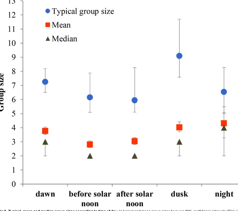 Fig 3. Typical, mean and median group sizes according to time of day. In typical and mean group sizes bars are 95% confidence intervals (CIs); in median group size CIs range between 95% and 96.2%