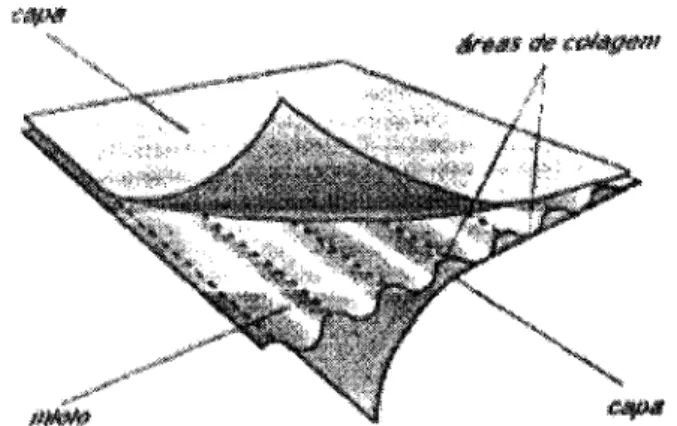 Figura 4: Elementos componentes do papelão ondulado. 
