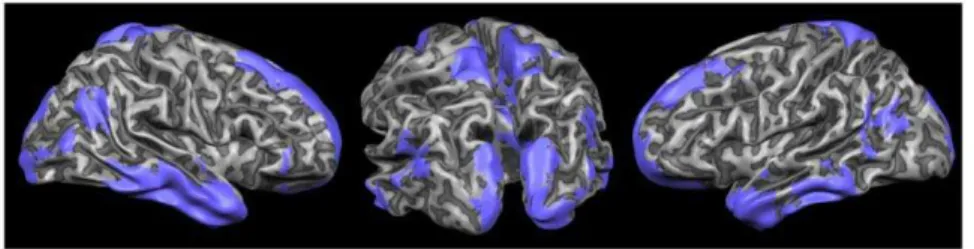 Figure 6. Comparison between the conjunction areas (voxels present in all the task related networks) and the areas specific for salience detection as retrived from Neurosynth