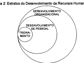 Figura 2: Estratos do Desenvolvimento de Recursos Humanos  DESENVOLVIMENTO  OR ANIZACIONAL  DESENVOLVIMENTO  DE PESSOAL  TREINA-  MENTO 