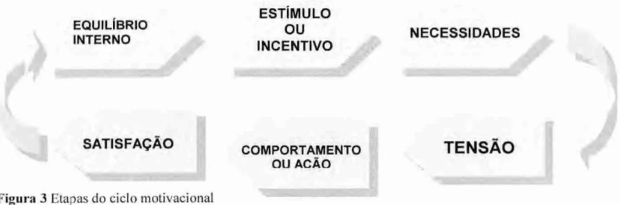 Figura 3  Etapas do ciclo motivacional  Fonte:  CHIA VENATO  (1994). 