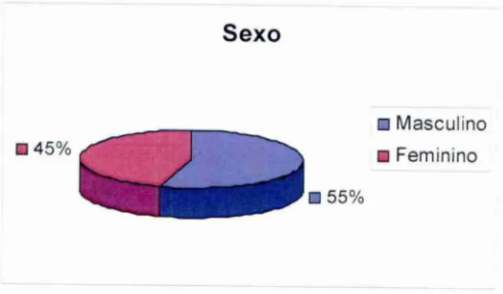 Figura  2 —  Sexo dos entrevistados. 