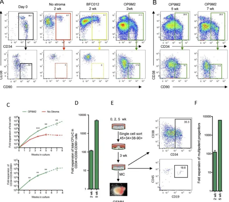 Figure 1. The OP9M2 MSC stromal cell line supports long-term expansion of multipotent human CD34+CD382CD90+ cells
