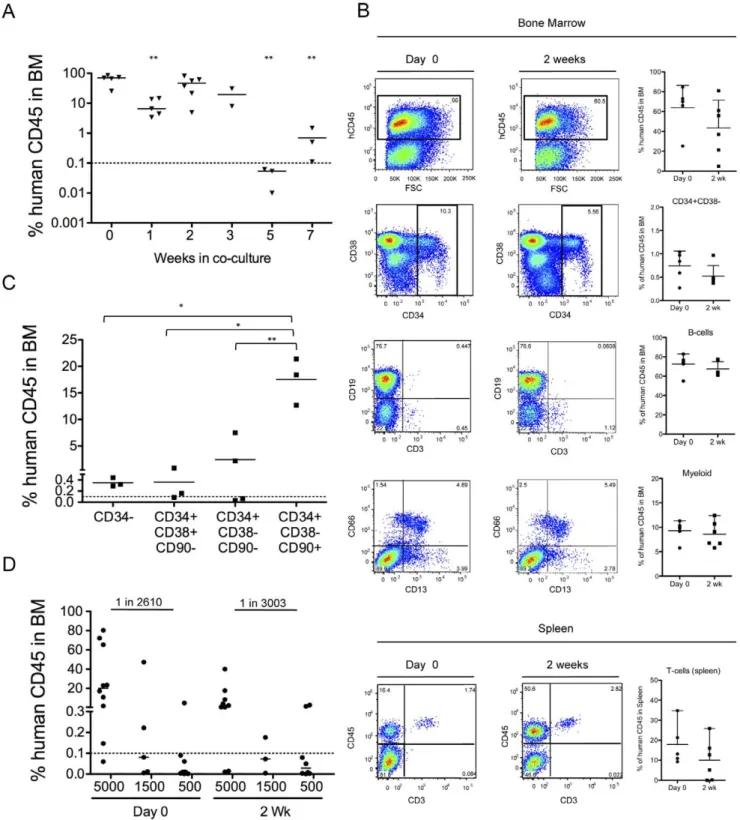 Figure 2. The OP9M2 stromal cell line supports maintenance of engraftable HSC. (A) Summary of total human reconstitution in the bone marrow of NSG mice 16 weeks post transplantation of all the progeny cells from 50,000 CD34+ input cells that were transplan
