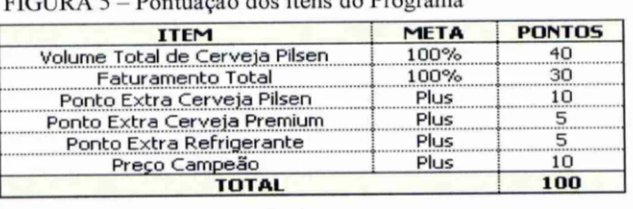 FIGURA 5 — Pontuação dos itens do Programa 