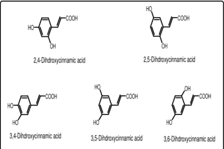 Fig 3:  Possible structures of the isolated compound 