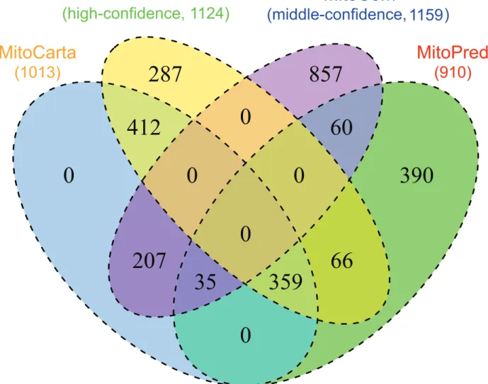 Figure 2. Venn diagram of the four datasets: MitoCom (high-confidence), MitoCom (middle-confidence), MitoCarta and MitoPred.