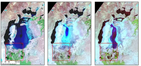 Fig. 2. Highly dynamic, spreading saline ecosystem: the Aralkum in Central Asia. Terra MODIS images acquired on July 2000, 2009 and 2010