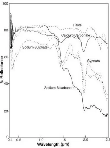 Fig. 5. Spectral profiles of gypsum, halite, calcium carbonate, sodium bicarbonate, and sodium sulphate in the visible, near, and mid-infrared (0.4–2.5 µm), as recorded by the GER 3700 spectroradiometer