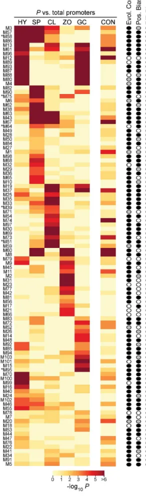 Figure 6 shows representative alignments where conservation was detected. For cleavage-induced P