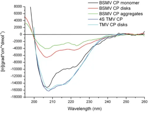 Figure 6. DSC melting curves for BSMV CP in 5 mM PB, rod-like TMV virions, and flexuous potato virus X virions.