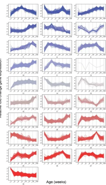 Table 1). Small gene lists, specific to each cluster, were individually analyzed in IPA using a consensus approach to review IPA’s Top Networks, Top Bio Functions, Top Canonical Pathways and Top Tox Lists meeting minimal p-value,0.05 for each pathway conta