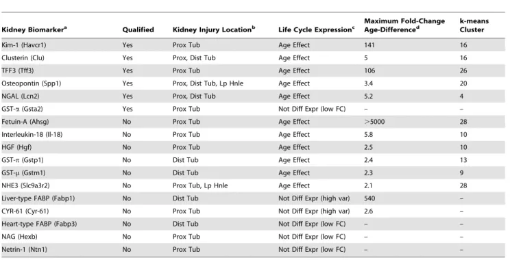 Figure 4. Differential life cycle expression of genes encoding qualified kidney biomarkers