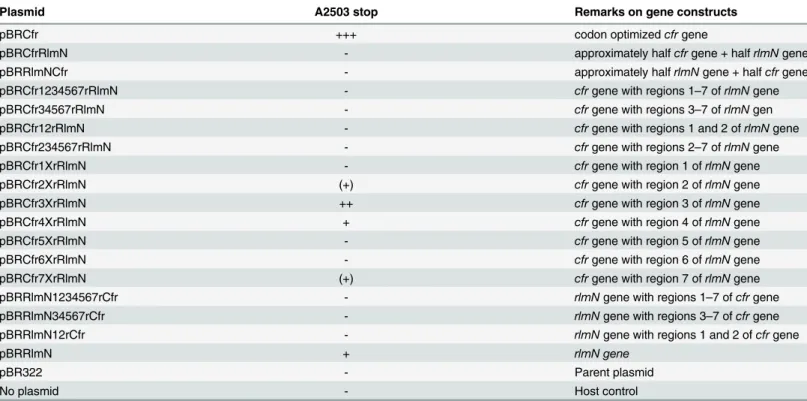 Table 1. Summary of plasmid constructs and primer extension results from E. coli JW2501-1 harbouring the plasmids.
