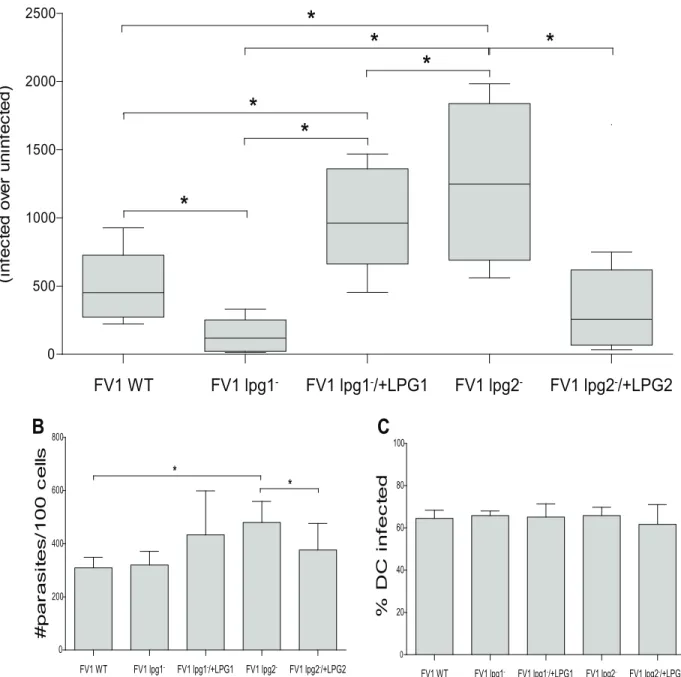Fig 2. L. major FV1 lpg1 − and FV1 lpg2 − modulate the IL12B response in hDCs. Human DCs (n = 9 donors) were infected with L