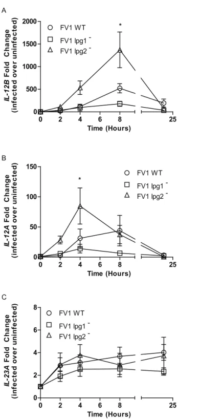 Fig 3. Kinetic analysis of IL12 and IL23 expression modulation by L. major LPG and PG null mutants.
