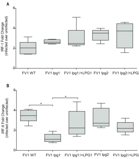 Fig 7. The lpg1 − mutant affects IL12 associated gene regulator IRF8, and not IRF1. Human DCs were infected with L