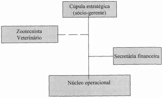 Figura 2: Organograma Agrolemos  Cúpula estratégica  (sócio-gerente)  Zootecnista  Veterinário  Secretária financeira  Nncleo operacional  Fonte: Agrolemos 