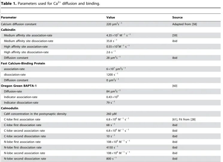 Table 1. Parameters used for Ca 2+ diffusion and binding.