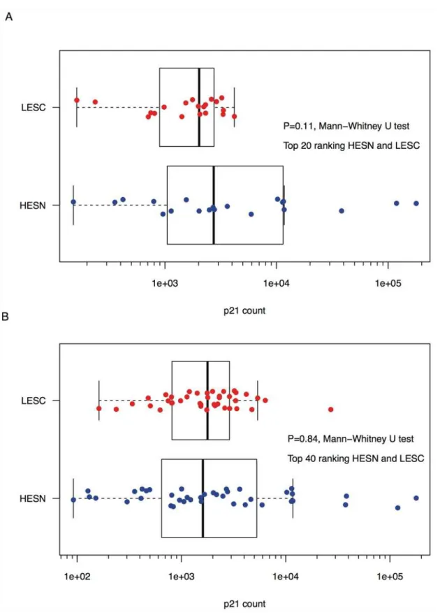 Fig 1. p21 expression in HESN and LESC. Shown are comparisons of p21 expression between: A) the top 20 ranking HIV-uninfected individuals with the greatest risk exposure (HESN) and the top 20 ranking HIV-infected individuals with the lowest risk exposure (