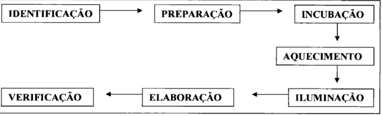Figura 1 — Processo Criativo 