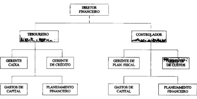 Figura 1 —  Organograma da estrutura organizacional  e hierárquica  de uma  gestão financeira