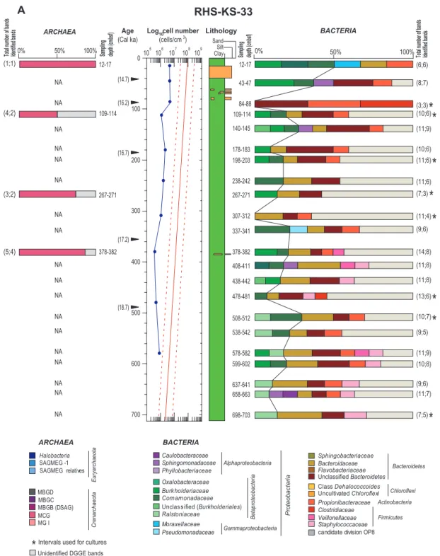 Fig. 3a. Depth distribution of the bacterial and archaeal community structures based on 16S rRNA gene, and total cell numbers compared with the lithological structure, in the Gulf of Lion and the Ligurian Sea