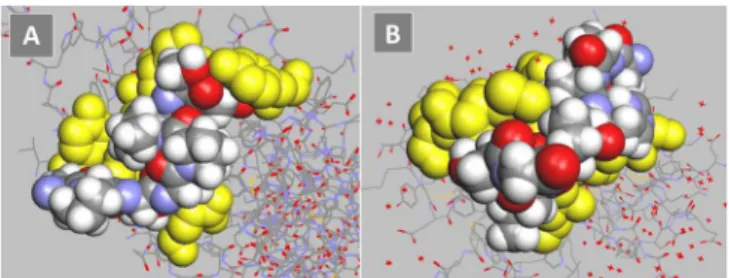 Fig 5. Models of monovalent, mimetic sequence of svH1C (colored space-filled structure) docked in the ligand binding site of receptors (yellow)
