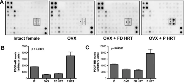 Figure 4. Changes in PDGF-AB and -BB serum levels following OVX and different HRT regimens