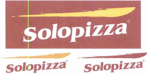 Figura  09:  Tipologia da marca da  Solopizza. 