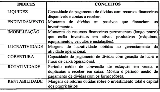 Figura 3: indices de Desempenho  Fonte: Santos ( 2003, p.69). 