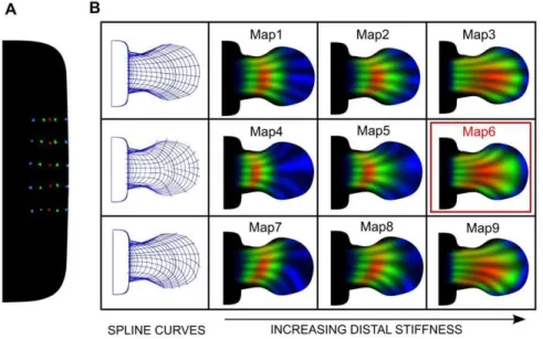 Figure 5A shows the positions that scored the best for three experimental clones on three different maps