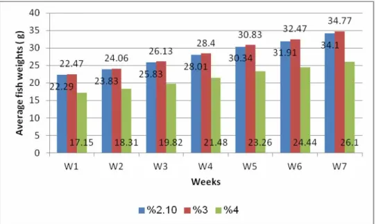 Figure  9.  Weekly  average  weight s  of  sea  bass  D.  labrax  fed  by  2.1  % ,  3% ,  4%   of  t heir  body weight  during 7 weeks experim ent al period