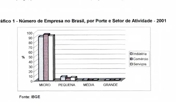 Gráfico 1 - Número  de Empresa no Brasil, por Porte  e  Setor de Atividade  - 2001 