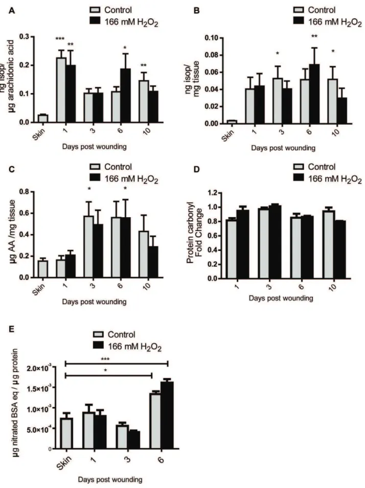 Figure 7. Wounding increased lipid peroxidation and nitrative damage but not protein carbonylation