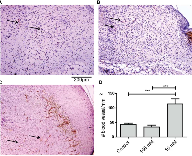 Figure 3. Low concentrations of H 2 O 2 increased wound angiogenesis. Paraffin sections from day 6 wounds were stained for CD31 using an immunohistochemical method