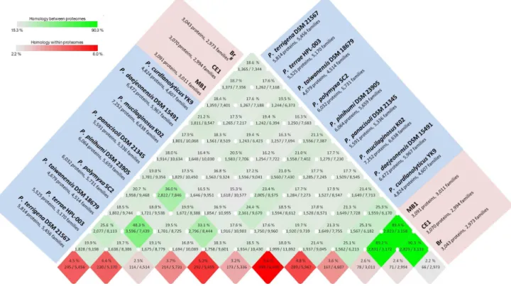 Figure 3. A BLAST matrix of an all against all protein comparison of 12 Paenibacillus genomes.