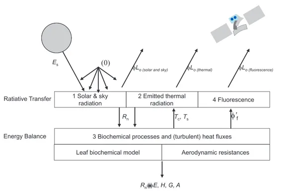 Fig. 1. Schematic overview of the model structure.