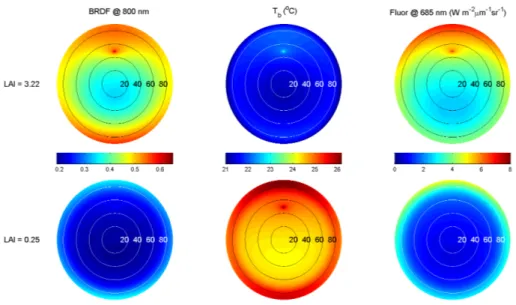 Fig. 5. For the same scenarios as in Fig. 3, hemispherical graphs of top-of-canopy reflectance (left), brightness temperature (middle) and chlorophyll fluorescence radiance (right) as a  func-tion of viewing zenith angle and viewing azimuth angle (relative