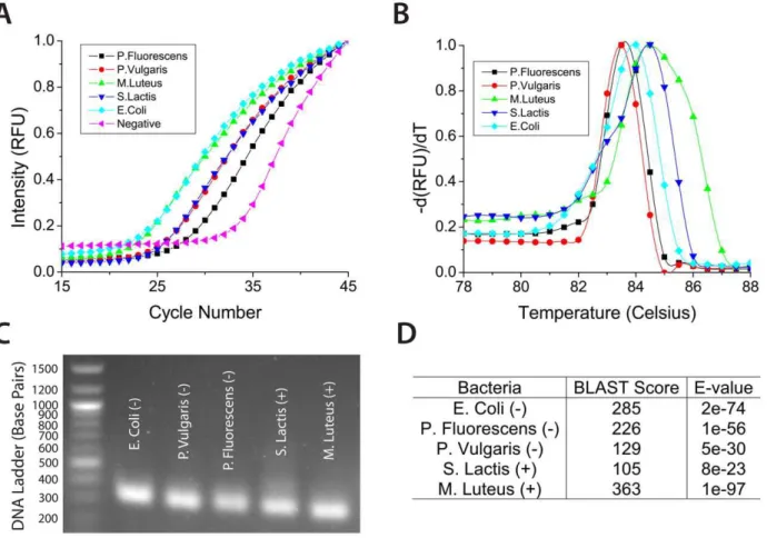 Figure 3. The real-time PCR antibiogram for pan-bacterial detection and identification