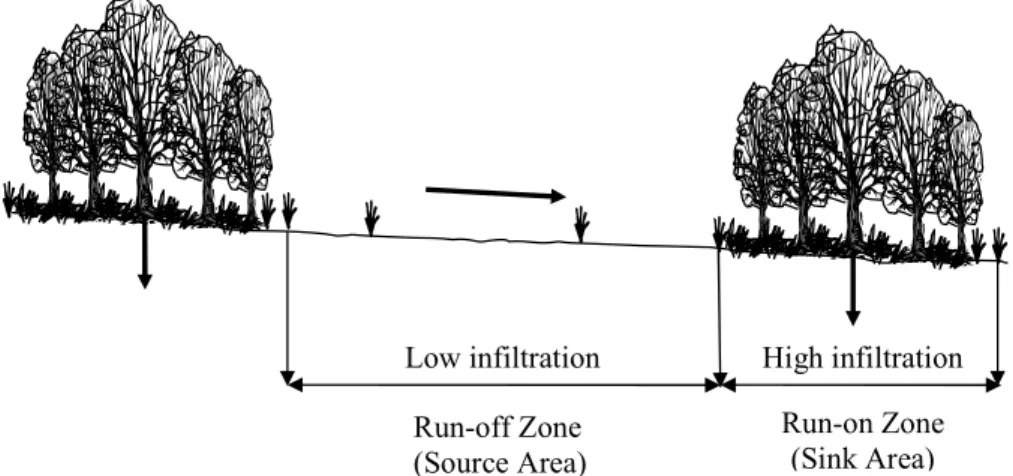 Fig. 1. Schematic diagram of the effect of banded vegetation patterns on flow redistribution.