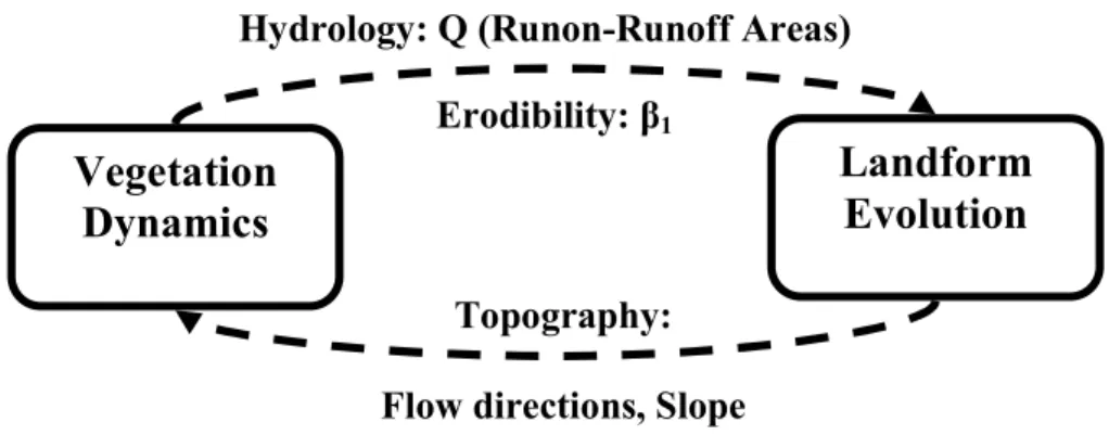 Fig. 2. Schematic diagram showing the flow of information between the coupled models.