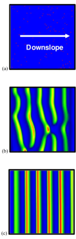 Fig. 3. Self-organization of vegetation into a banded pattern for a planar hillslope with sheet flow