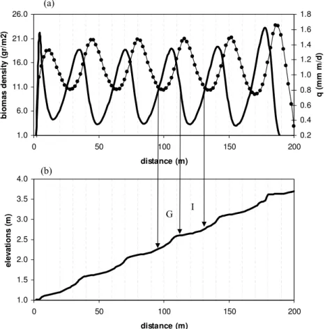 Fig. 4. Longitudinal profile of a banded vegetation pattern, the x axis shows distance from the bottom of the hillslope, (a) simulated distribution of biomass density (solid line) and runoff (dots), (b) simulated elevations after 500 years