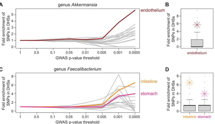 Fig 4. Identification of candidate tissues. At increasingly significant P-value thresholds, variants identified through GWAS were enriched in DNase hypersensitivity peaks in a tissue-specific manner