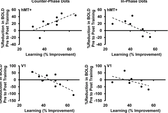 Figure 10. The effect of counter-phase dot training on the response of hMT+ and V1 to counter-phase and in-phase dot stimuli