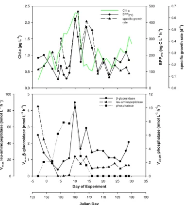 Fig. 3. Temporal development of bacterial production and growth (BPP 2 ◦ C , specific growth rate;