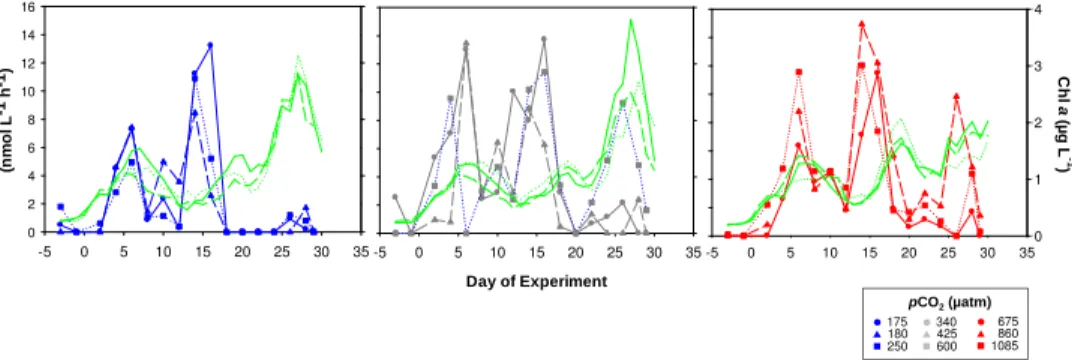Fig. 8. Temporal development of extracellular phosphatase activity in mesocosms of low (175–250 µatm; blue symbols), medium (340–600 µatm; grey symbols), and high pCO 2 (675–