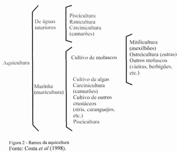 Figura 2 - Ramos da aquicultura 